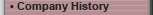 Company History